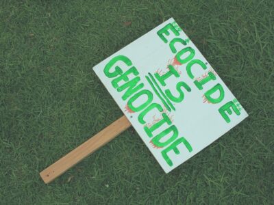 Shaping the Future: International Criminal Court Takes Aim at Environmental Crimes