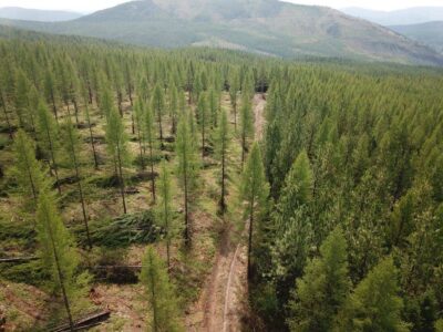 BLM Embraces Conservation in Public Lands Management with New Rule