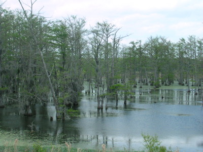 Legal Quandary: Balancing Urban Flood Prevention and Rural Land Rights